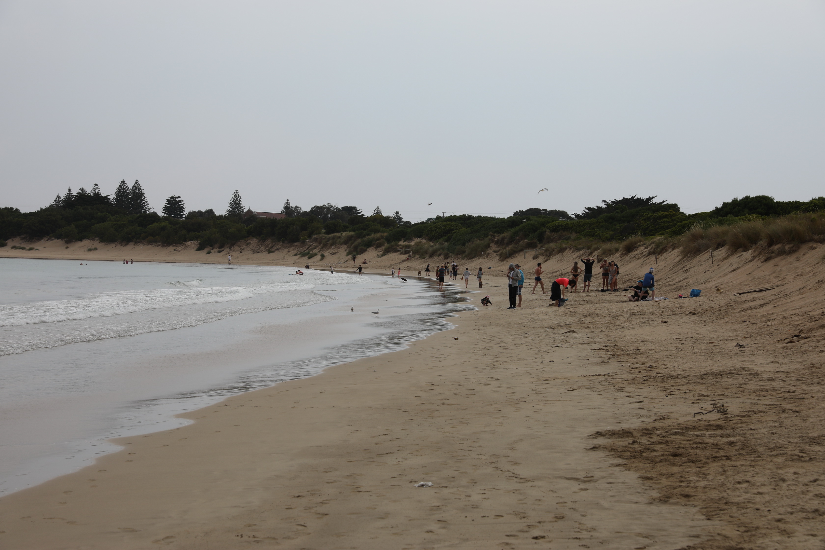 Apollo Bay Beach